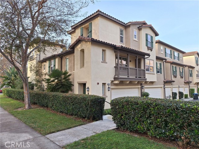 Front Image Thumbnail for CROC25265432