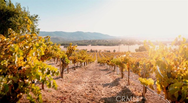 7110 Drake Road, Paso Robles CA: https://media.crmls.org/medias/3e3f0506-7a26-495d-887f-13db25e543f3.jpg