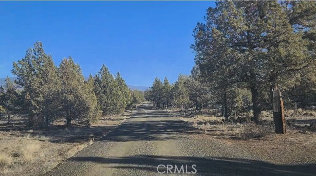 Detail Gallery Image 2 of 11 For 0 99xx Big Springs Rd, Montague,  CA 96064 - – Beds | – Baths