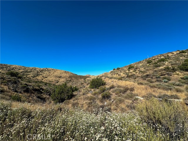 Detail Gallery Image 6 of 15 For 0 Big Springs Rd, Agua Dulce,  CA 91350 - – Beds | – Baths