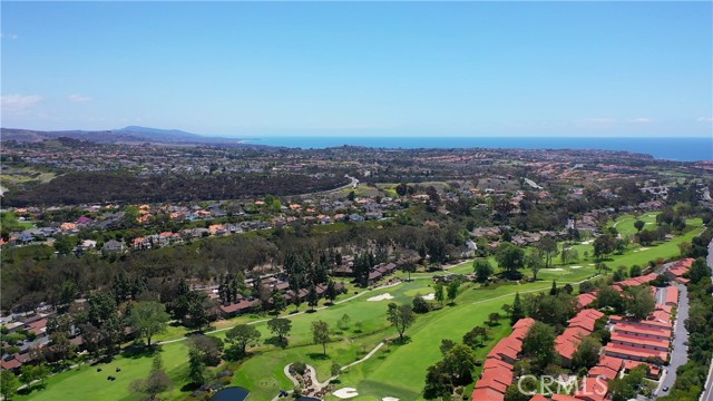 31313 E Nine Drive, Laguna Niguel CA: https://media.crmls.org/medias/3e49e7cd-e1bb-4bfb-bf8b-69227e716179.jpg