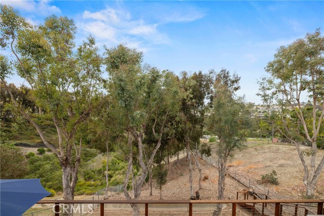 24301 Philemon Drive, Dana Point CA: https://media.crmls.org/medias/3e4d5845-9e45-4f6f-a06e-fa14e35e4a58.jpg