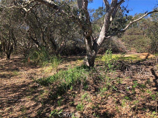 Detail Gallery Image 5 of 9 For 221 Tucker Rd, Royal Oaks,  CA 95076 - – Beds | – Baths