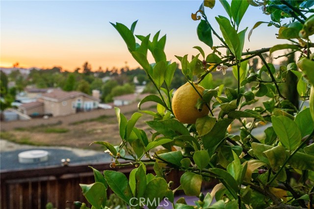 40493 Calle Katerine, Temecula CA: https://media.crmls.org/medias/3e5418ad-289e-4500-84db-e471edef254f.jpg
