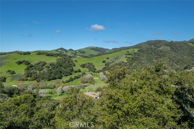 Detail Gallery Image 32 of 73 For 2770 Lupine Canyon Rd, Avila Beach,  CA 93424 - 5 Beds | 3/1 Baths
