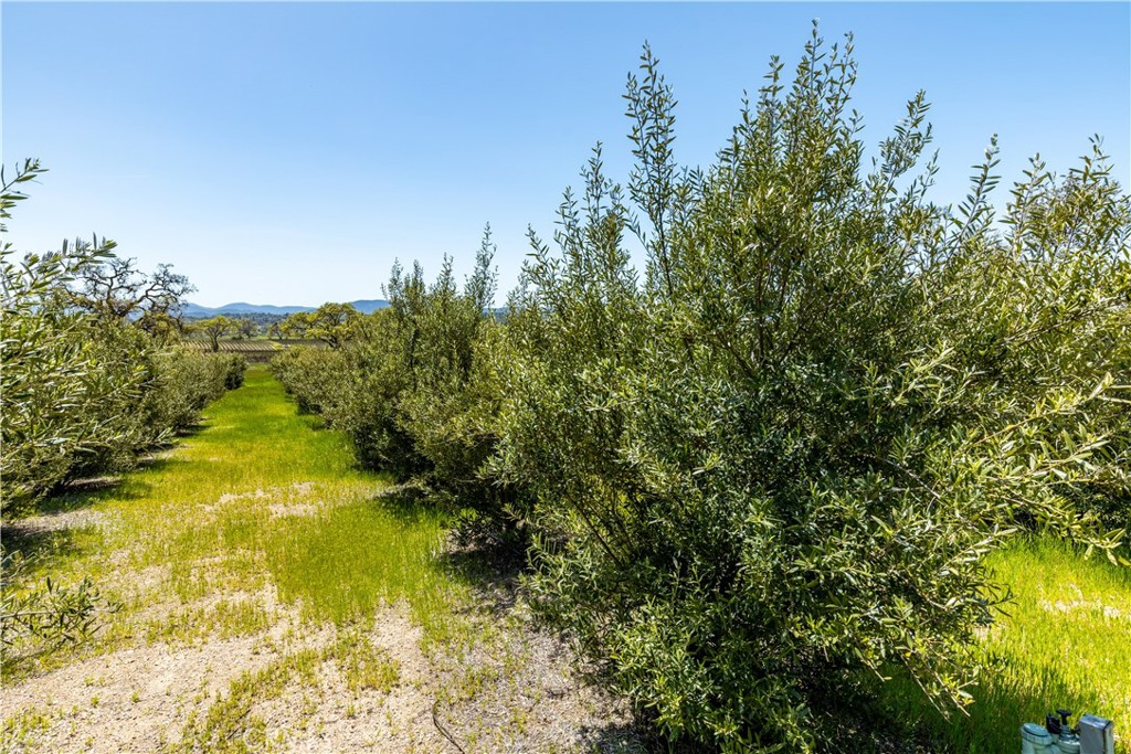 1600 Lupine Lane