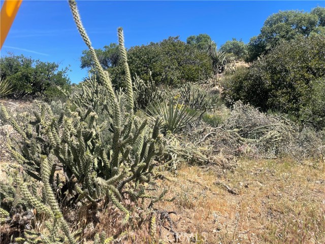 33 Sweetbush, Anza CA: https://media.crmls.org/medias/3e56fd7f-e4bc-480a-a6be-983267b80529.jpg