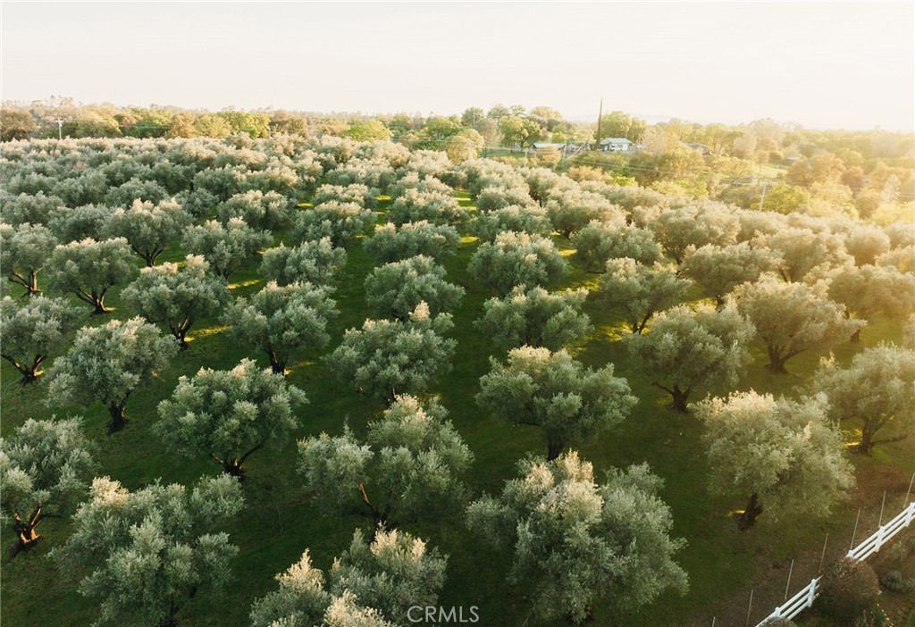 https://media.crmls.org/medias/3e572769-732e-411f-87f3-cd9e99cb52a5.jpg?preset=X-Large