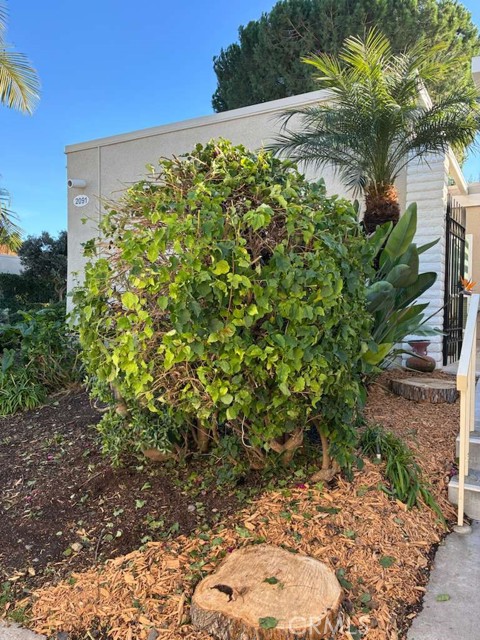 Detail Gallery Image 22 of 25 For 2091 Ronda Granada #D,  Laguna Woods,  CA 92637 - 3 Beds | 2 Baths