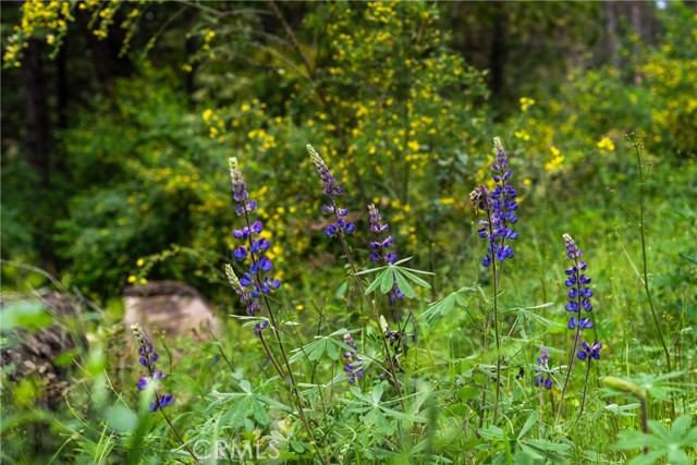 Image 20 of 24 For 21324 Aqueduct Circle