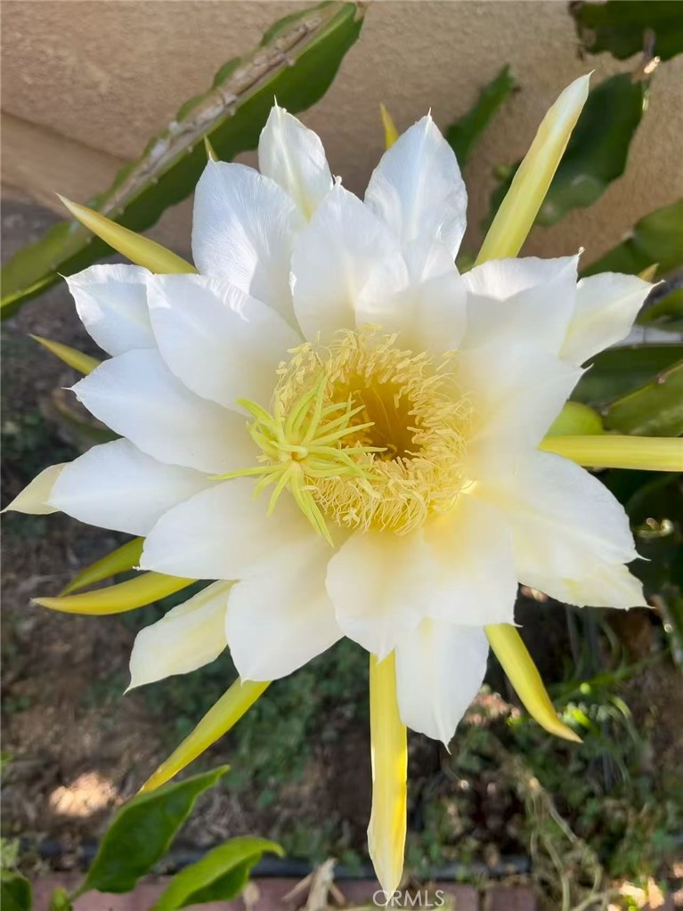 MLS #WS25271554 image #22