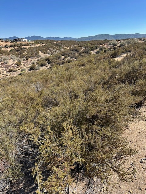 5071 Mc Conneny Road, Hesperia CA: https://media.crmls.org/medias/3e65871e-07f6-4ce2-b8ab-3ad3478ac1af.jpg