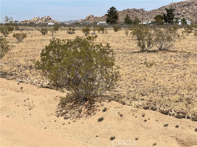 Detail Gallery Image 6 of 9 For 1 Las Tunas Dr, Apple Valley,  CA 92308 - – Beds | – Baths