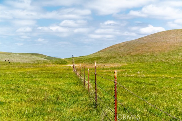 Detail Gallery Image 19 of 44 For 8050 Bitterwater Road, Shandon,  CA 93461 - 3 Beds | 1 Baths