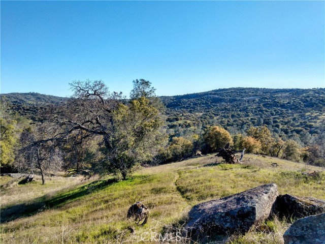 Detail Gallery Image 2 of 9 For 1710 S Long Hollow Ct, Coarsegold,  CA 93614 - – Beds | – Baths