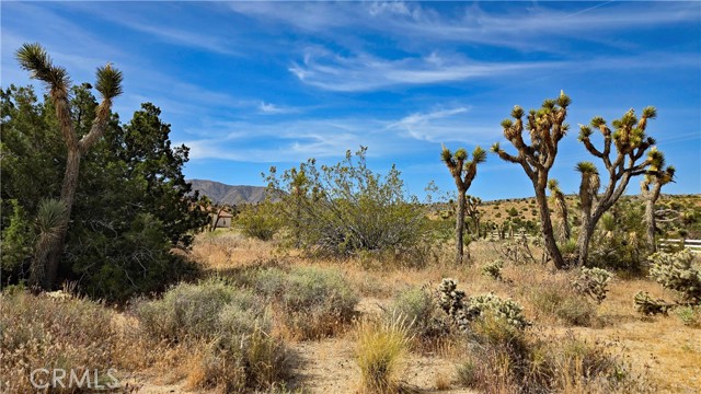 Detail Gallery Image 12 of 49 For 0 103rd St East Vicinity W14, –,  CA 93543 - – Beds | – Baths