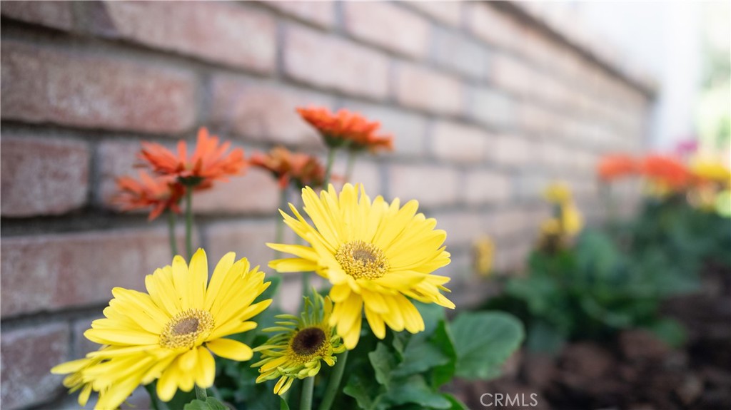 https://media.crmls.org/medias/3e790581-9061-4924-857a-e9b12ace1ac5.jpg?preset=X-Large