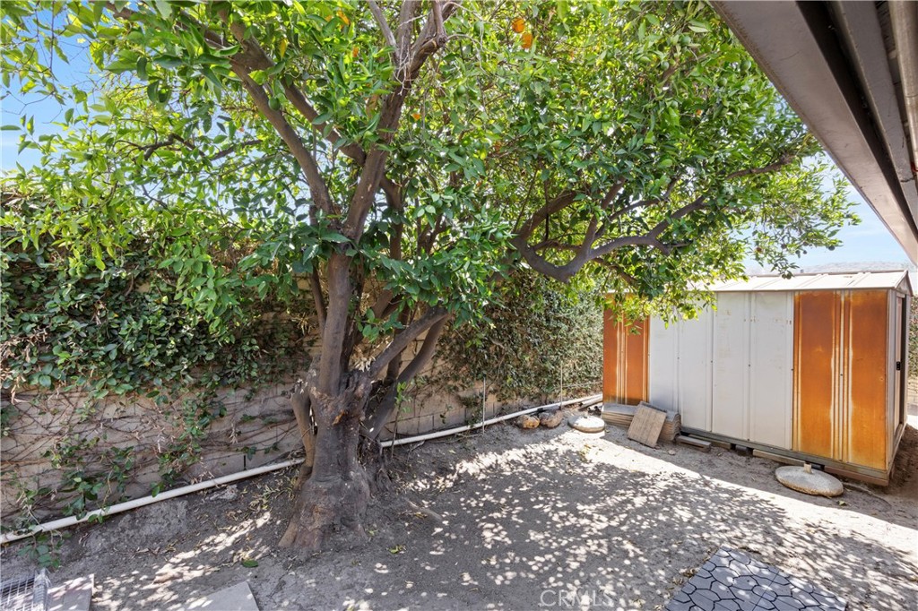 MLS #TR25166275 img 37