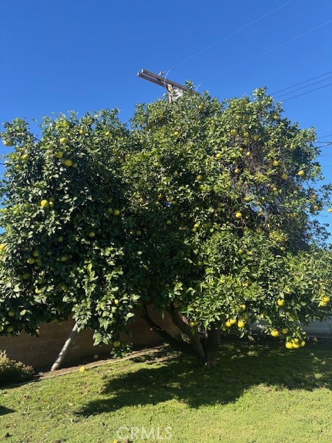 Detail Gallery Image 14 of 24 For 16245 Londelius, North Hills,  CA 91343 - 3 Beds | 1/1 Baths