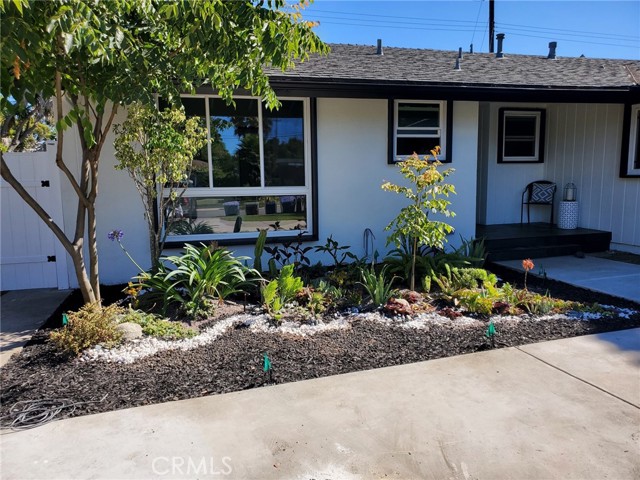 Front of house with newly landscaped succulent design