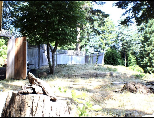 Detail Gallery Image 38 of 40 For 168 W Forest View Dr, Willow Creek,  CA 95573 - 4 Beds | 2 Baths