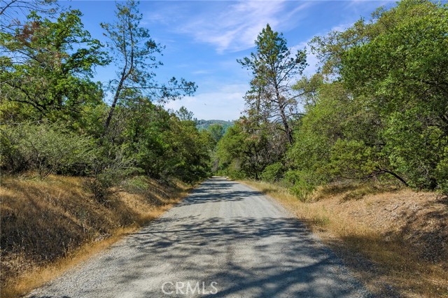 0 Rich Gulch Road, Yankee Hill, California 95965, ,Land,For Sale,0 Rich Gulch Road,CRSN23101845