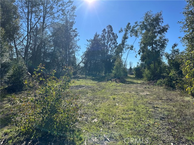 Detail Gallery Image 47 of 51 For 5235 Gaddy, Kelseyville,  CA 95451 - 2 Beds | 1 Baths