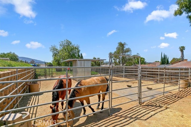 Detail Gallery Image 44 of 56 For 2386 Hialeah Cir, Norco,  CA 92860 - 4 Beds | 2 Baths