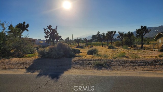 Detail Gallery Image 1 of 4 For 0 Palo Alto Ave, Yucca Valley,  CA 92284 - – Beds | – Baths
