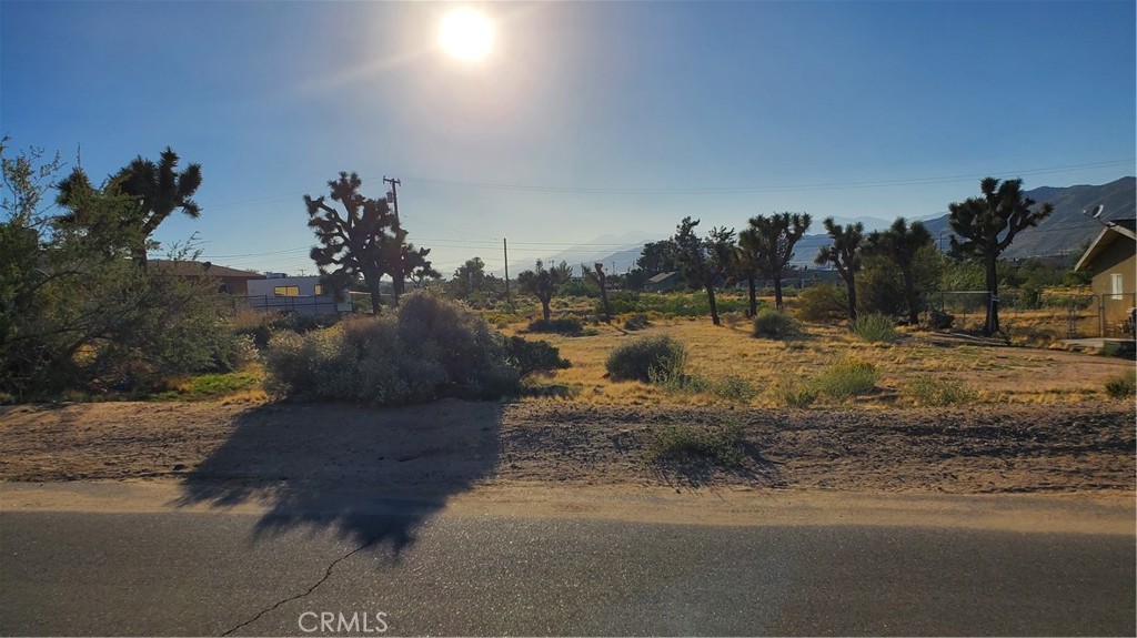 MLS #JT25116309 image #2