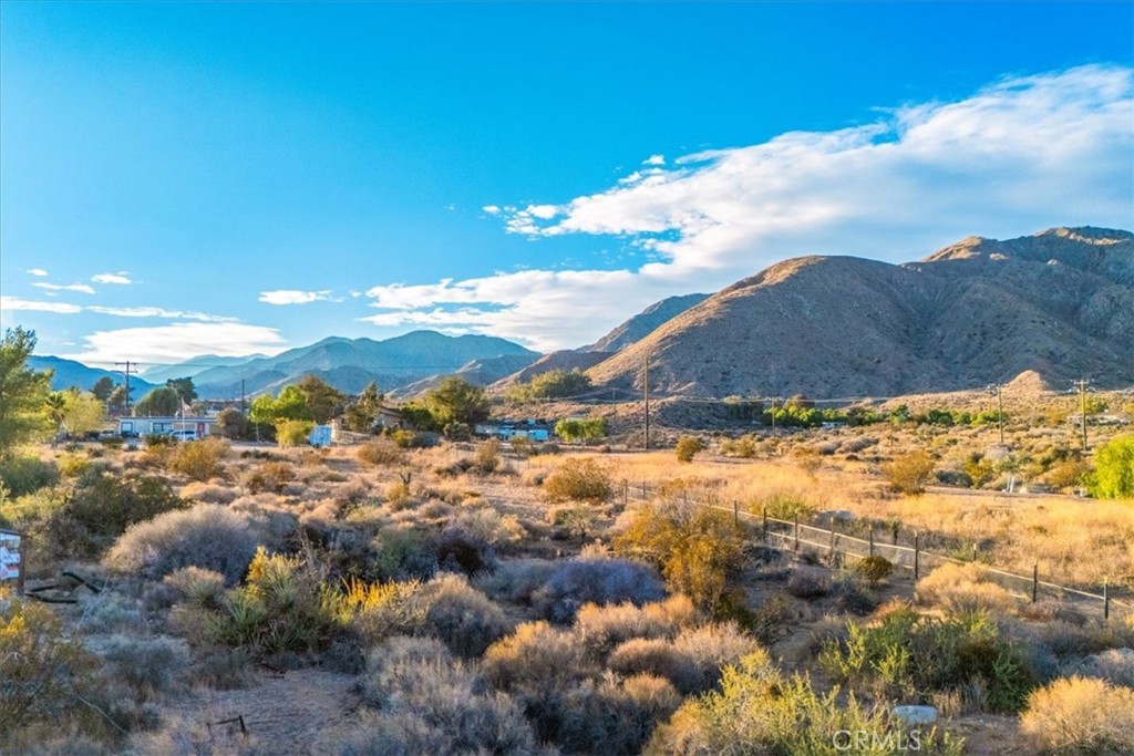 MLS #JT25260931 image #36