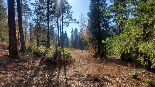 1 Coutolenc Road, Magalia, California 95954, ,Land,For Sale,1 Coutolenc Road,CRSN23217034