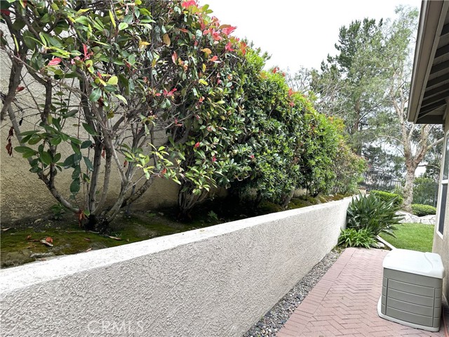 Side Yard
