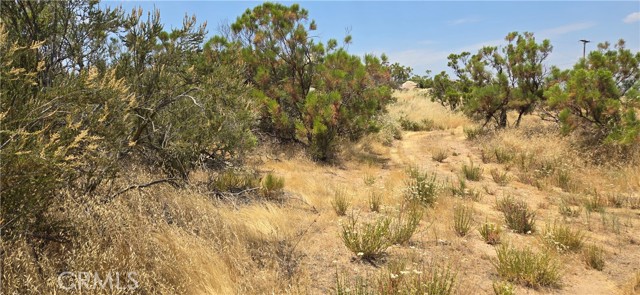 1011 Roan Way, Aguanga, California 92536, ,Land,For Sale,1011 Roan Way,CRSW24143304