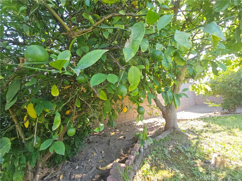 https://media.crmls.org/medias/3eb282a3-7780-4a61-87a3-9a1af93c04db.jpg?preset=X-Large