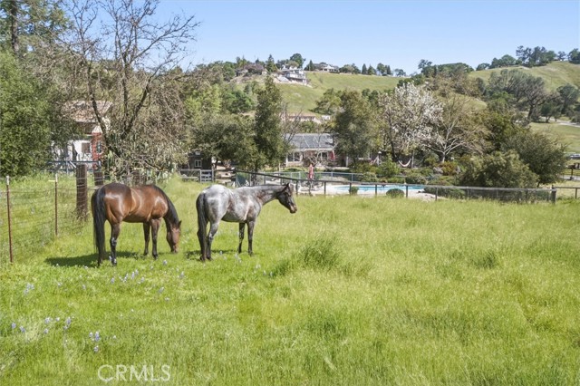 Detail Gallery Image 47 of 57 For 13730 El Camino Real, Atascadero,  CA 93422 - 3 Beds | 2 Baths