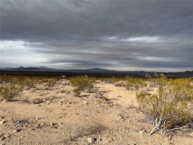 1 Ocotillo, Landers, CA, 92285 1 Ocotillo, Landers, CA, 92285