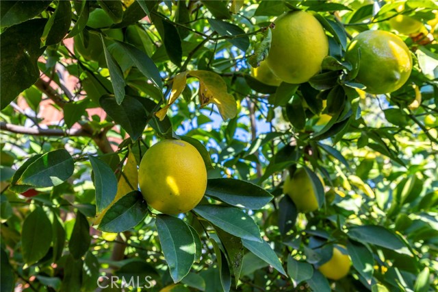 Detail Gallery Image 28 of 38 For 10022 Chula Vista Way, Riverside,  CA 92503 - 4 Beds | 2 Baths