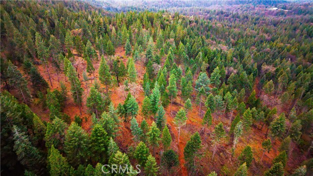 Detail Gallery Image 13 of 22 For 5435 Pine Ridge, Grizzly Flats,  CA 95636 - – Beds | – Baths