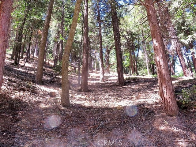 8 Mojave River Road, Cedarpines Park, California 92322, ,Land,For Sale,8 Mojave River Road,CREV22198971