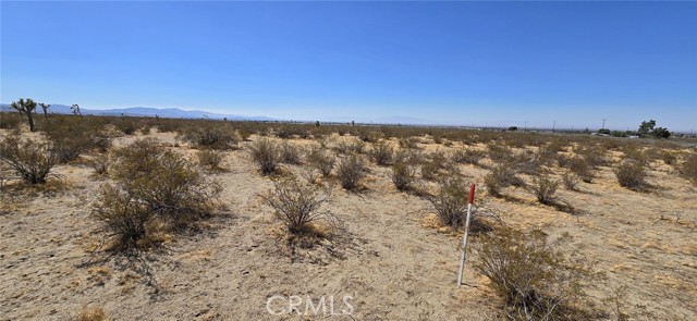 10707 Pearblossom Hwy, Littlerock CA: https://media.crmls.org/medias/3ec504ed-4f32-4789-9839-46f352585796.jpg