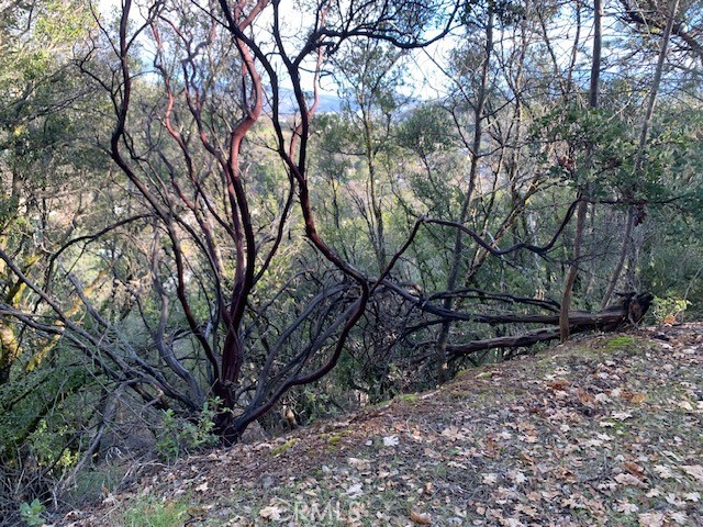 Detail Gallery Image 6 of 11 For 7333 Tehama, Nice,  CA 95464 - – Beds | – Baths