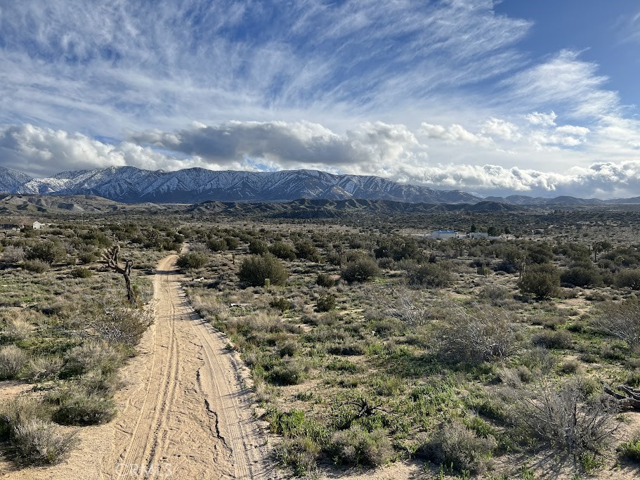 MLS #SR25254609 image #6