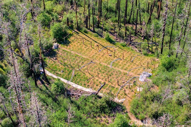 Detail Gallery Image 17 of 20 For 0 Four M Ct, Berry Creek,  CA 95916 - – Beds | – Baths