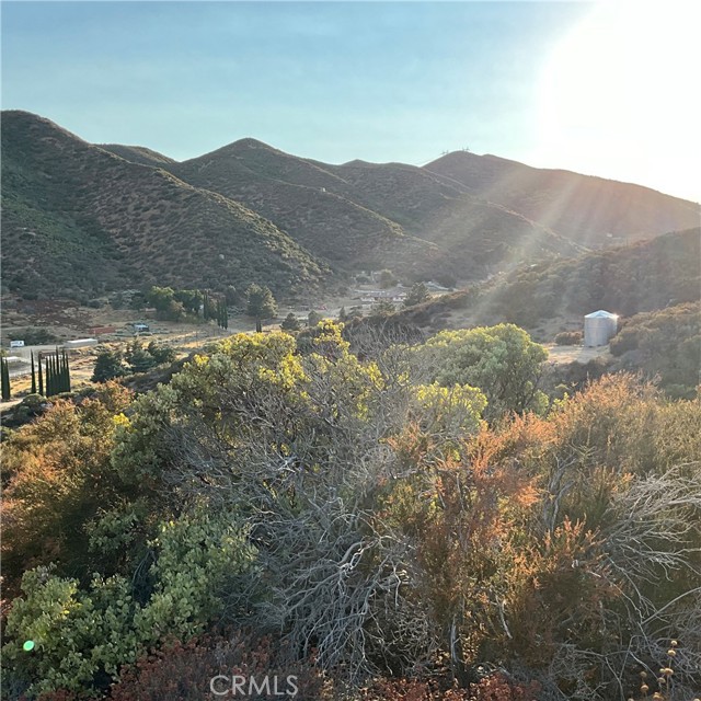 Detail Gallery Image 11 of 36 For 9301 Lost Valley Ranch Rd, Leona Valley,  CA 93551 - – Beds | – Baths