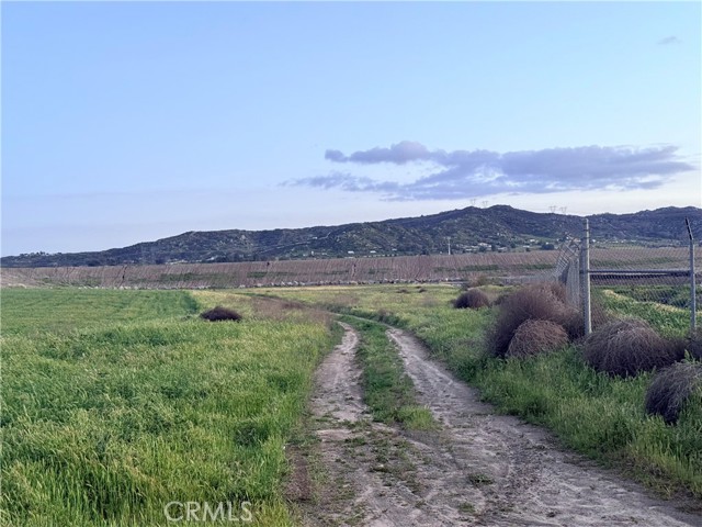 Front Image Thumbnail for CRSW24157014