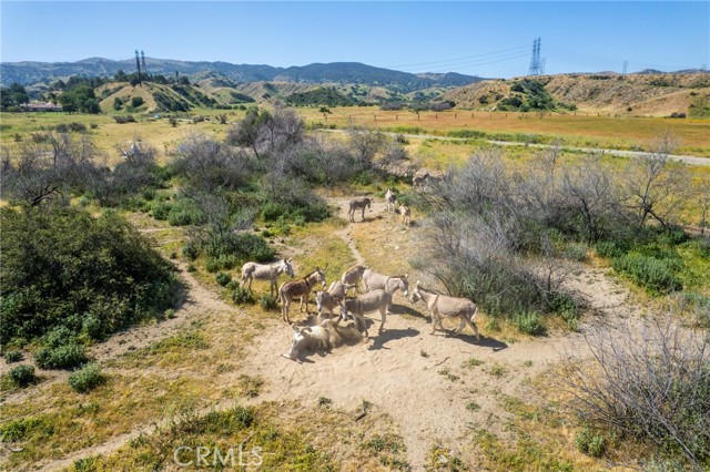 Detail Gallery Image 15 of 28 For 0 Boyscout Rd, Redlands,  CA 92373 - – Beds | – Baths