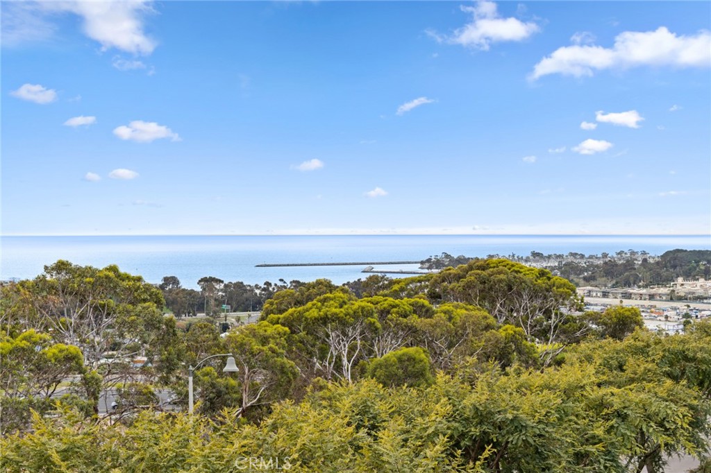 26368 Paseo Sillin, San Juan Capistrano, CA 92675