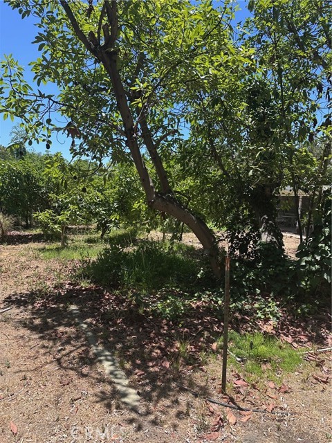 2009 W Las Lanas Lane, Fullerton CA: https://media.crmls.org/medias/3ee714dd-f862-40e8-88d2-aa6a426f630a.jpg