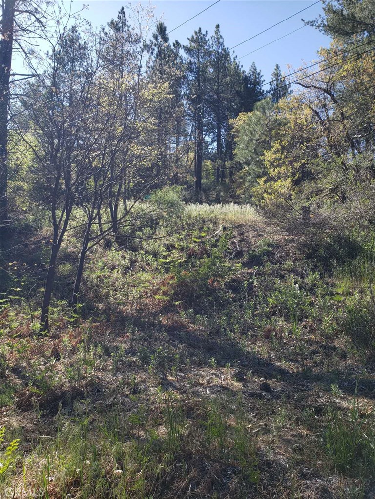 MLS #WS24207349 image #8